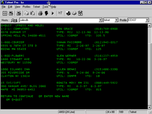 telnet1.gif (15621 bytes)